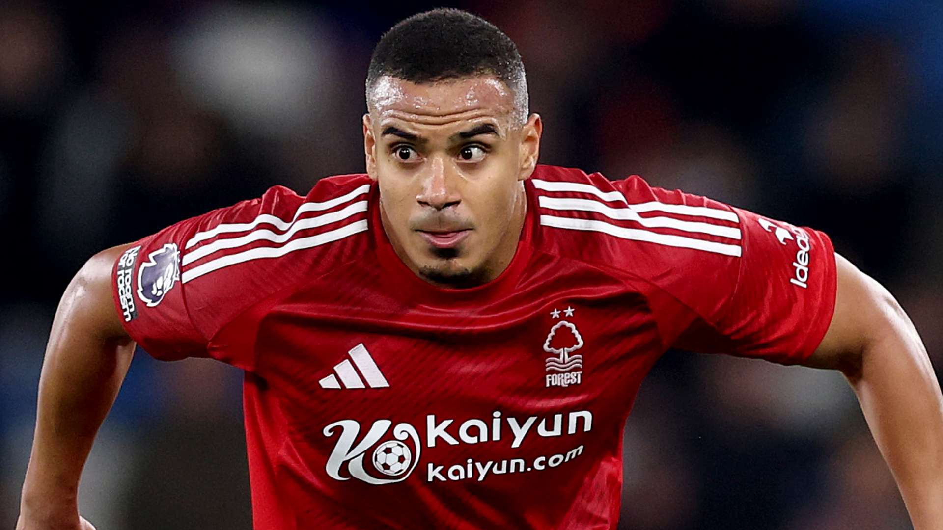 当体育竞技 当体育竞技