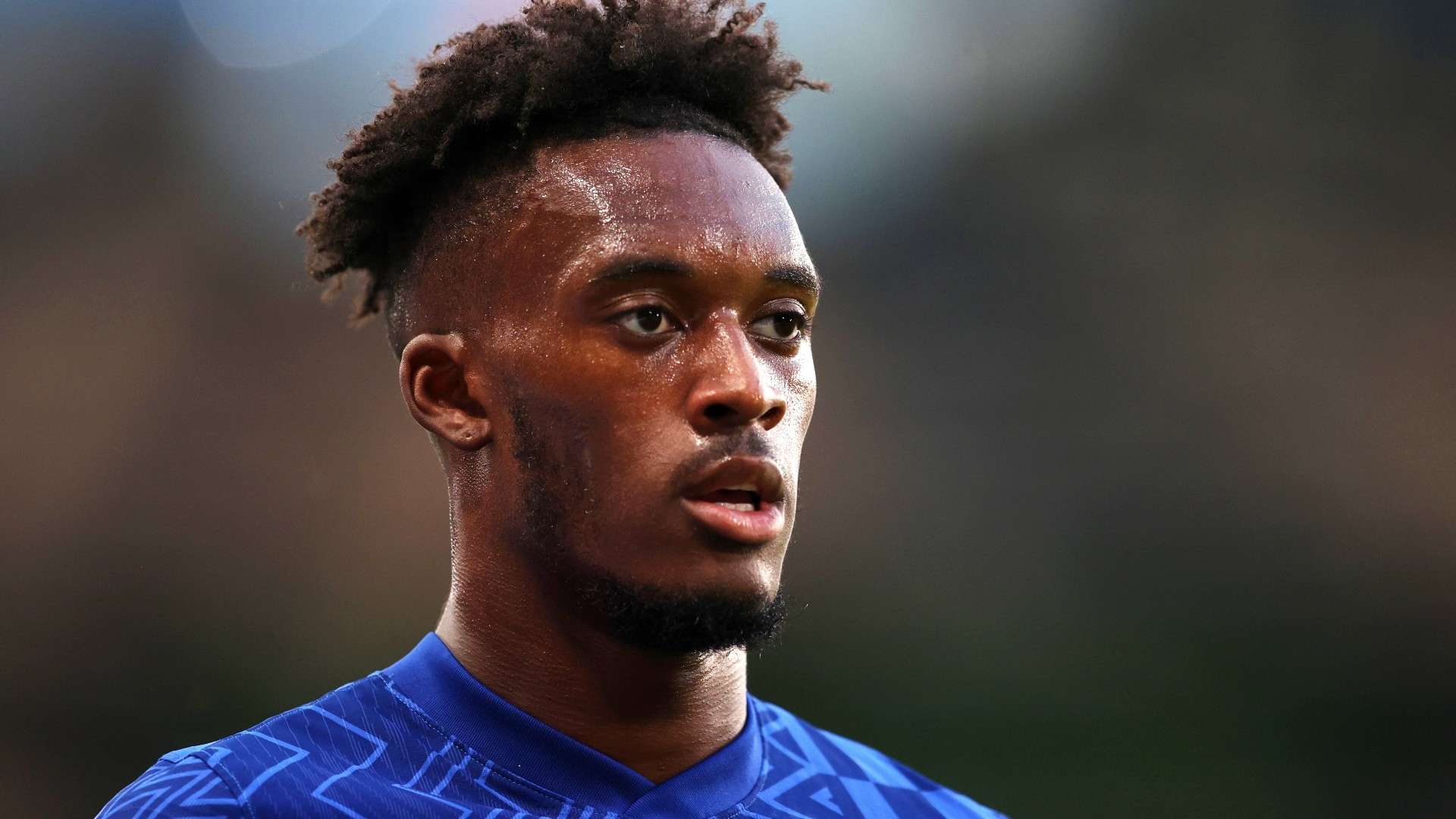 来了另一个 来了另一个