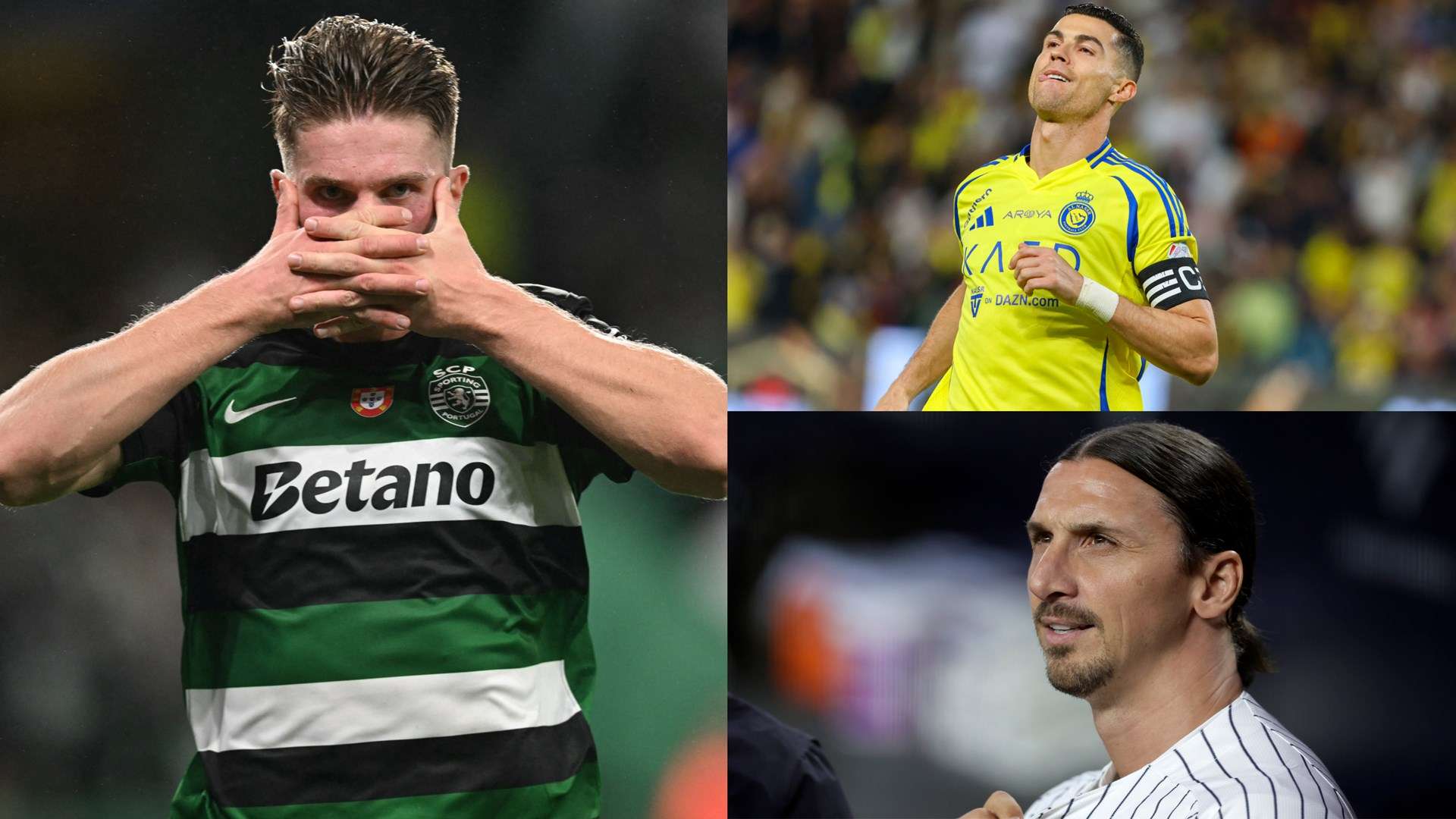 整个欧洲 整个欧洲