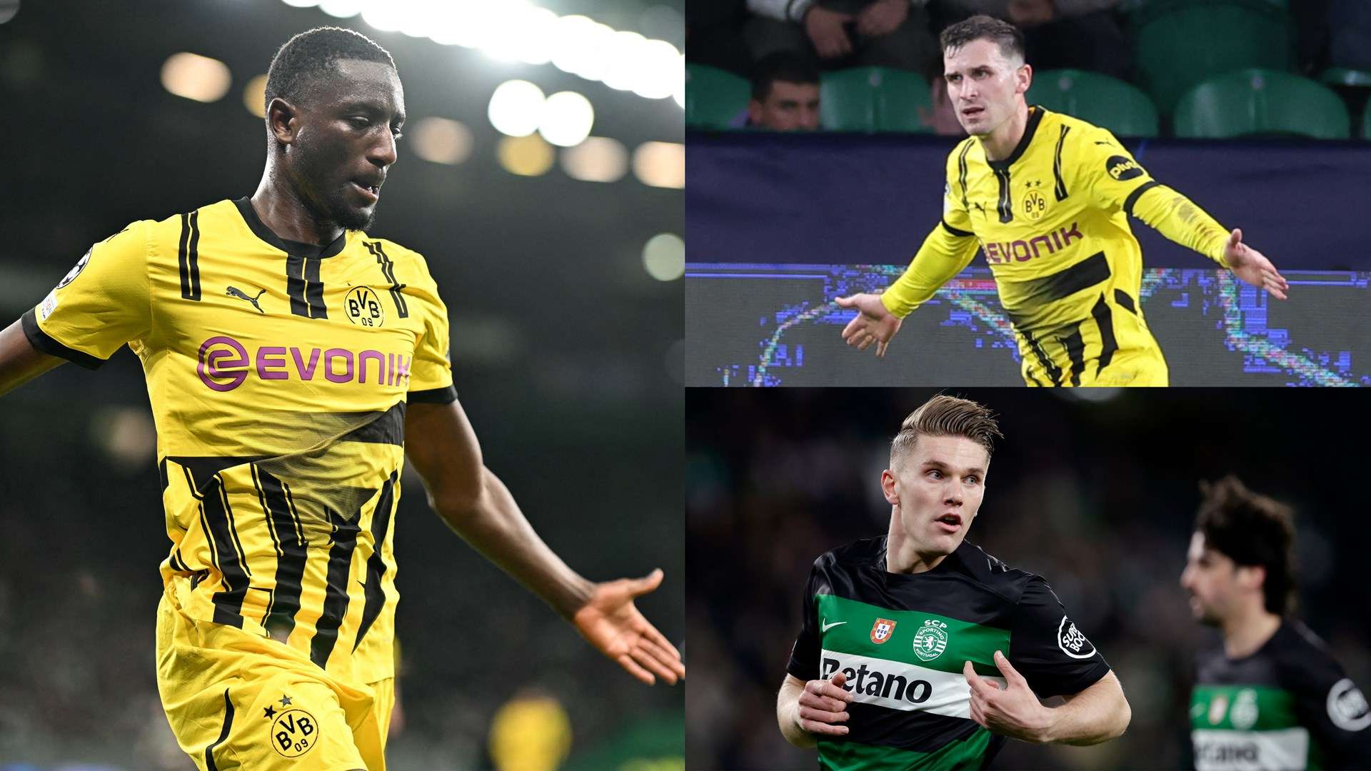 支持的感谢 支持的感谢