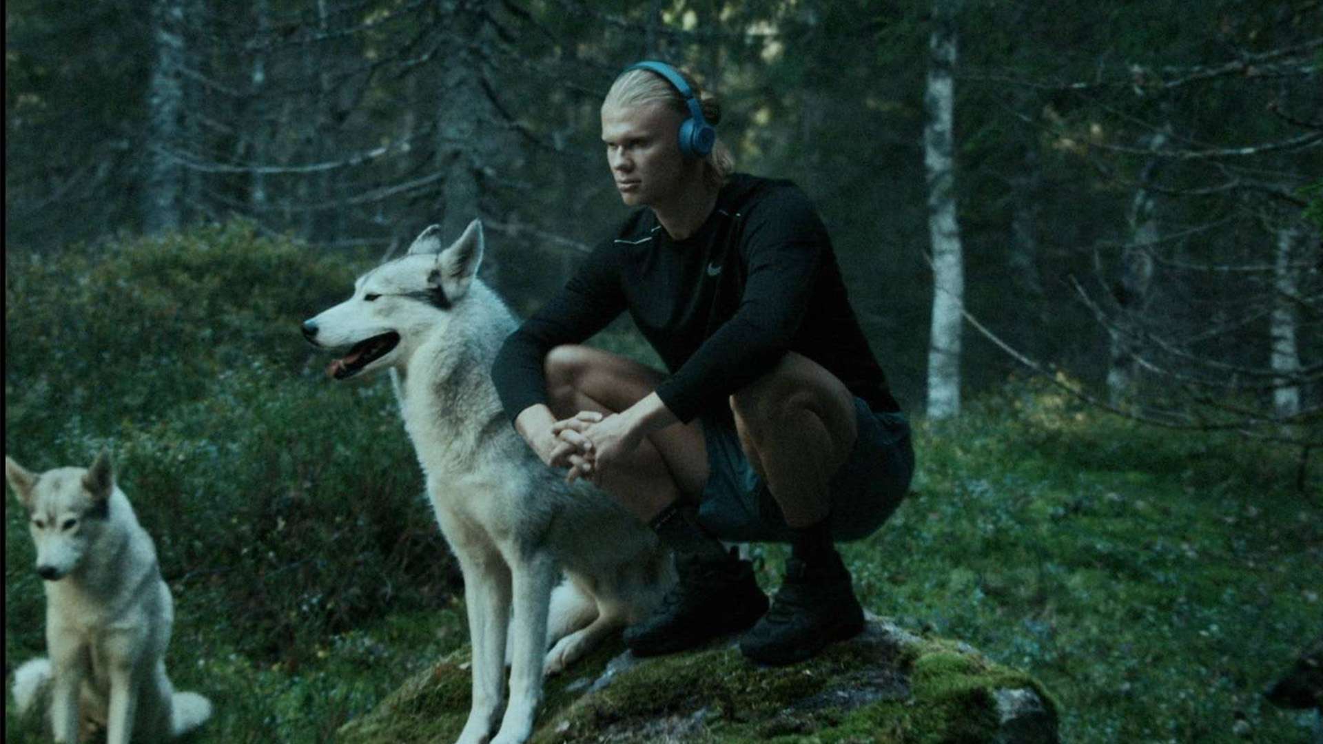 赛和表现 赛和表现